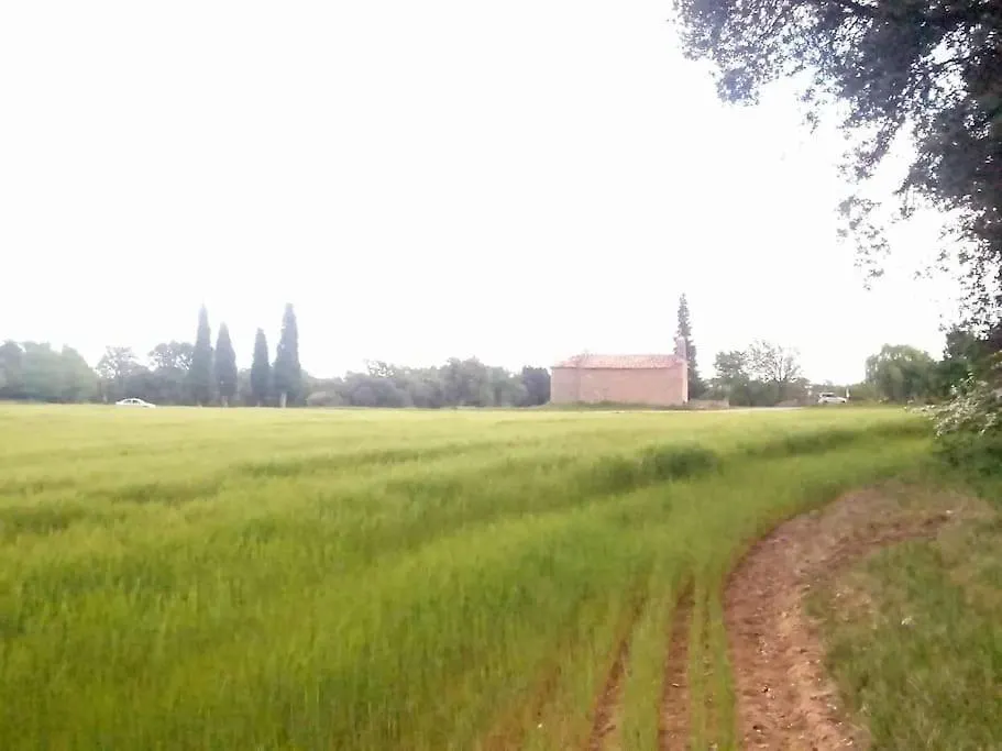 Apartamento El Niuet De Cal Cacuet, La Teva Escapada Rural. Aviá 0*,  España