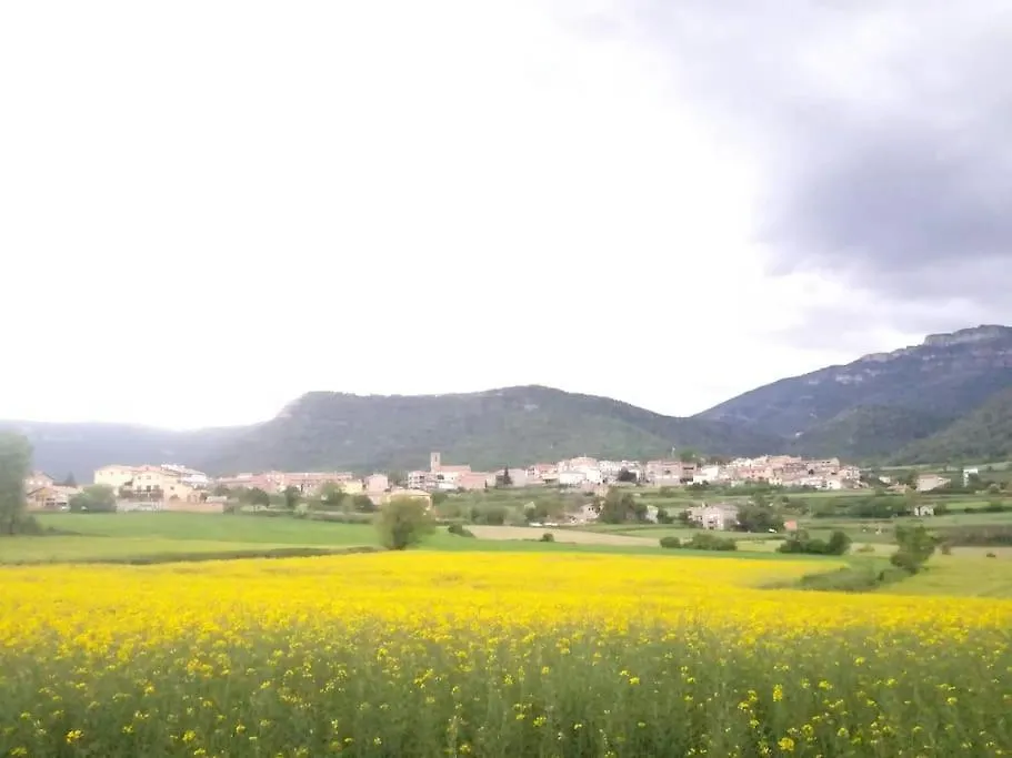Apartamento El Niuet De Cal Cacuet, La Teva Escapada Rural. Aviá